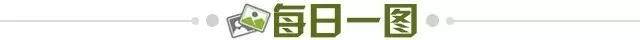 8f0ec321-4524-4df8-b877-b66071bb3eb5.jpg@!img01
